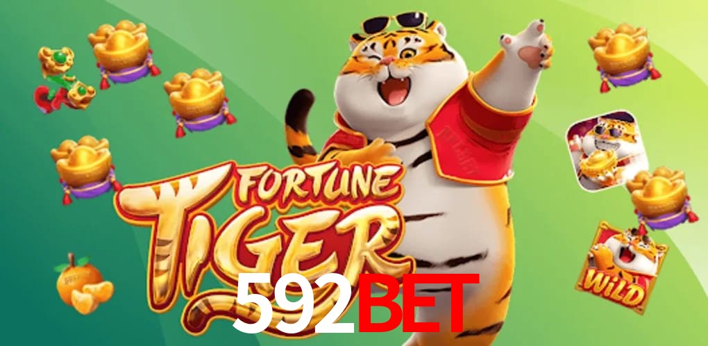 Statistics 592bet